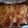 Deana Marie's cooksnap of when they made Ground Turkey Enchiladas.
