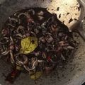 Cooksnap dari Muhammad Tsaqib Maulana untuk resep Cumi basah tinta hitam