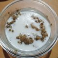 Cooksnap dari Aulia Rizkiawati untuk resep Bubur Kacang Hijau Kental ala Abang-Abang