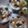 Cooksnap dari Pawon_Vie untuk resep Klappertaart