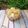 Cooksnap dari Febry Caturia untuk resep Setup Salak