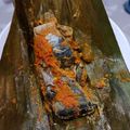 Cooksnap dari Christine Tj untuk resep Pepes (brengkes) tongkol blimbing wuluh