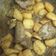 El cooksnap de Clemente Florit Porcel cuando hizo Solomillo de cerdo encebollado.