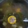 Cooksnap dari Leonita untuk resep Sayur Asem Seger