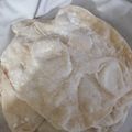 کوک اسنپ مهراوه بعد از امتحان کردن 🇱🇧نان پیتا لبنانی (pitta bread).