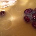 May 的 九尾草燉雞湯 cooksnap