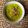 Cooksnap dari MmRFFNSTY untuk resep Gulai Nangka Bumbu Kuning