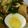 Cooksnap dari Ria Tamara untuk resep Soto Ayam Bening
