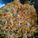 Cooksnap dari Merryna Virgin untuk resep Lumpia isi Sayur (Wortel, Taoge)