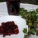 El cooksnap de Ana Maria cuando hizo Mermelada de grosella verde o uva espina.