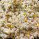 El cooksnap de astrid badia cuando hizo Arroz tres delicias.