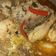 El cooksnap de Iris Báez cuando hizo Pollo a la portuguesa receta económica.