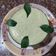 mitu madlani's cooksnap of when they made કોકોનટ ચટણી (Coconut Chutney Recipe In Gujarati).