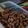 Cooksnap dari ulfah maria untuk resep Cookies coklat mudah