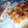 El cooksnap de mariadolores Lozano Martinez cuando hizo Hojaldre de queso, bacon y jamón.