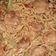 Cooksnap dari Melda Yanti untuk resep Mie Goreng pedas