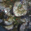 El cooksnap de alejandra cuando hizo Berenjena en escabeche.
