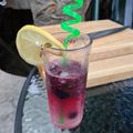 El cooksnap de Katherine cuando hizo Mojito de arándanos 🍹.
