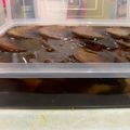 Cooksnap dari Fei Cu untuk resep Puding marie regal