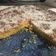 il Patrizia#maniinapastafirenze quando ha preparato Torta al cocco