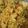 Asha Sharma's cooksnap of when they made Vegetable pulao.