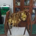 Cooksnap dari Julia Kurnia Ika Putri untuk resep Ketupat ketan