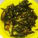 Keerti Agarwal का कुकस्नैप जब उन्होंने व्रत वाली भिन्डी परवल की सब्जी (vrat wali bhindi parwal ki sabzi recipe in Hindi) बनाया था।