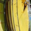 Cooksnap dari Yunita Rezky untuk resep Puding Custard lapis Coklat