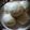 Cooksnap dari Niesa Tofan untuk resep Bakpao Empuk, Simple, dan Ngembang ;)