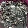 Cooksnap dari Yetty SchatZi untuk resep Cumi hitam empuk
