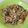 Cooksnap dari Enie official untuk resep Orak arik pindang