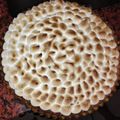 El cooksnap de Mica Abadjian cuando hizo Lemon pie.