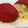 El cooksnap de mis-cocteles cuando hizo Pimientos de piquillo rellenos de gambas y atún.