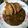 รูป Cooksnap ของ Juthamard Jantalue เมื่อเขาทำ ข้าวแกงกะหรี่ญี่ปุ่นกับกุ้งทอด