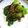 Cooksnap dari Dian Valentin untuk resep Pokcoy Garlic Saus Tiram