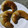 El cooksnap de Yanie JM cuando hizo Croissant, chocolatines y masa Danesa.