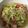 Cooksnap dari Yohana Elda untuk resep Tumis sawi putih bakso simple