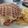 El cooksnap de Veronica Navarro cuando hizo Gofreburguer saludable con patatas.