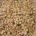 Cooksnap dari Ika Rahmatika untuk resep Kacang Goreng Bawang daun jeruk