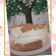 Cooksnap dari Hu Xiuling untuk resep Angel Food Cake versi Joy Of Baking - Cake putih telor,Low Fat,no Oil.