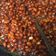 Cooksnap dari Lia Suyanto untuk resep Kacang Goreng Pedas Manis