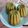 Cooksnap dari anisatur raehan untuk resep Bolu Sakura Praktis Tanpa Telur