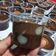 Cooksnap dari Siska Dian Fitriana (Siska Dian - Siska Cake) untuk resep Puding Cokelat aka Choco Twist