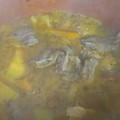 El cooksnap de Julieta Veronica cuando hizo Carbonada Puntana.