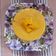 Dr. Pushpa Dixit's cooksnap of when they made મેંગો આઇસક્રીમ (Mango Icecream Recipe In Gujarati).