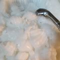 Cooksnap dari indy hindiyah untuk resep Kelapa Muda KW