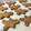 El cooksnap de Bea M cuando hizo Galletas muñeco de jengibre.