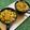 Seema Raghav का कुकस्नैप जब उन्होंने बसंती पोहा (basanti poha recipe in Hindi) बनाया था।