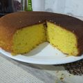El cooksnap de Maria José Pérez cuando hizo Torta de naranja licuada.