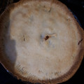 El cooksnap de nelfranchyr cuando hizo Empanada de atún.